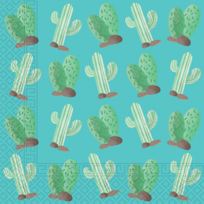 Láma és Kaktusz Kollekció